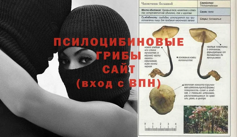 где купить наркоту  blacksprut вход  Галлюциногенные грибы прущие грибы  Черняховск 